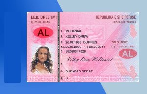 Albania Driver License PSD Template - Fully editable