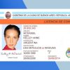 Argentina Drivers License PSD Template - Fully editable