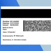 Arizona Drivers License PSD Template - Fully editable