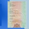 German Passport PSD Template - Fully editable