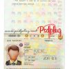 Japan Passport PSD Template - Fully editable