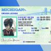 Michigan Driver license PSD Template - Fully editable