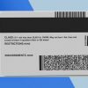 New Mexico Driver license PSD Template (New edition)- Fully editable