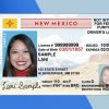 New Mexico Driver license PSD Template (New edition)- Fully editable