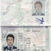 UK Passport PSD Template - Fully editable