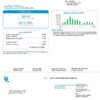USA Florida Utility Bill PSD Template - Fully editable