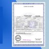 USA California Birth Certificate Doc Template - Fully editable