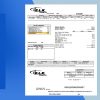 Canada Electricity Bill (ELK) PSD Template - Fully editable