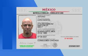 Mexican Consular ID Card PSD Template - Fully editable