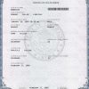 USA Colorado Birth Certificate PSD Template - Fully editable