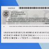 USA Employment Authorization Card PSD Template - Fully editable