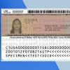 USA Permanent Resident Card PSD Template - Fully editable