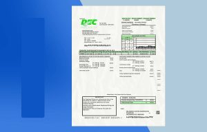 Delaware Utility Bill PSD Template- Fully editable