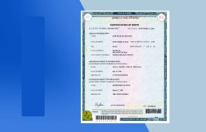 USA Florida Birth Certificate psd template - Fully Editable