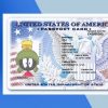 USA Passport Card PSD Template - Fully editable