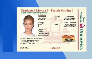 Canada Brunswick Drivers License PSD Template - Fully editable