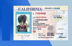California Drivers License PSD Template (V 1) - Fully editable