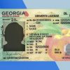 Georgia Driver License PSD Template (V2) - Fully editable
