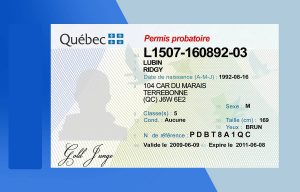Canada Quebec Driver license PSD Template - Fully editable
