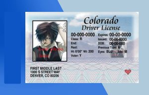 Colorado Driver license PSD Template - Fully editable
