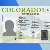 Colorado Driver License PSD Template (New Edition) - Fully editable