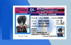 Connecticut Driver license PSD Template - Fully editable