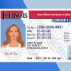 Illinois Driver license PSD Template - Fully editable