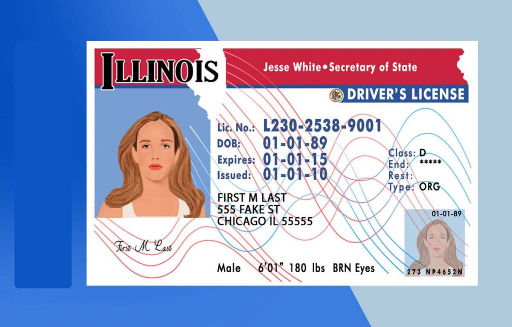 Illinois Drivers License PSD Template Download Photoshop File