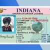 Indiana Driver license PSD Template - Fully editable