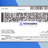 Kentucky Driver License PSD Template (New Edition) - Fully editable