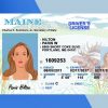 Maine Driver license PSD Template - Fully editable