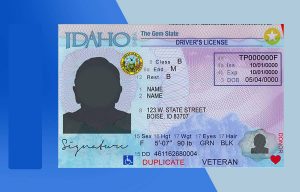 Idaho Driver License PSD Template (New Edition) - Fully editable