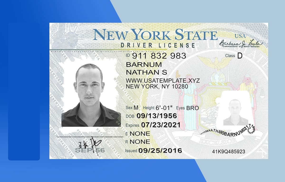 Nys Drivers License Template