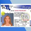 Maryland Driver license PSD Template - Fully editable