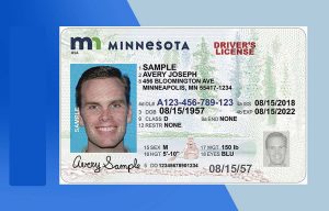 Minnesota Driver License PSD Template (New Edition) - Fully editable