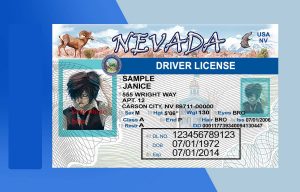 Nevada Driver license PSD Template - Fully editable