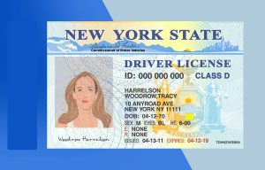 New York Driver license PSD Template (V2)- Fully editable