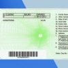 New Zealand Driver license PSD Template- Fully editable