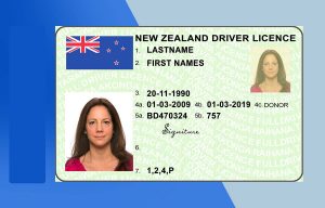 New Zealand Driver license PSD Template- Fully editable