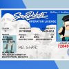 South Dakota Driver license PSD Template- Fully editable