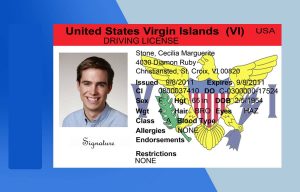 Virgin Islands Driver license PSD Template- Fully editable