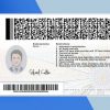 Virginia Driver license PSD Template- Fully editable
