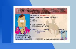Wyoming Driver license PSD Template- Fully editable