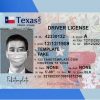 Texas Driver License PSD Template (New Edition) - Fully editable